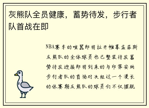 灰熊队全员健康，蓄势待发，步行者队首战在即